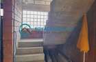Royal Imobiliare - Vanzare Vila Paulesti - 20