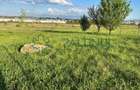 Teren intravilan de vânzare – 440 mp, împrejmuit, Sibiu - 3