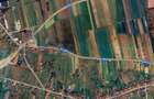 Teren intravilan de vanzare, la 1 minut de centura Osorhei, Alparea, Bihor - 2