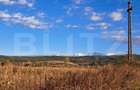 Teren extravilan cu potențial IMENS de dezvoltare în BĂCIA - HUNEDOARA - 3
