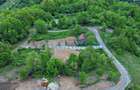 Casa noua cu teren 2,7 hectare in zona montana Apuseni, Bihor - 6
