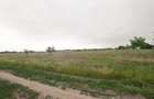 Lot teren 700 mp*Intravilan*Comuna Berceni*deschidere 17m - 5