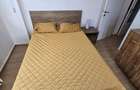 Apartament Piata Victoriei // Iancu de Hunedoara - 3