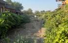 Teren intravilan 2.400 mp în Băilești 24 m deschidere la strada - 2