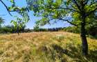 Teren intravilan   Cotmeana Arges - 1