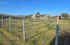 Exclusivitate-Vadu, zona centrala, casa 75mp, teren 1917 mp/31ml deschidere - 36