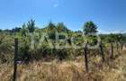 Teren extravilan 2700 mp oportunitate investitie Calea Poplacii Sibiu - 2