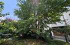 Inchiriere apartament 4 camere / vila / Giulesti / Intr. Pinului / curte  54 mp - 9