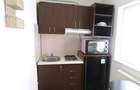 Apartament 1 camera , zona Lipovei - 6