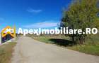 Corbeanca - Tamasi | Teren 1225mp, deschidere 44ml | Utilitati la 50m - 10