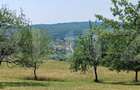 Teren extravilan de 1000 mp, situat pe strada Ghinzii - 3
