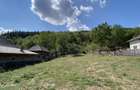 Teren 4000 mp intravilan loc. Aninoasa, jud Arges. Comision 0% - 1
