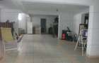 Vila 456mp utili  zona Plantelor - 18