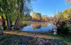 Cea mai frumoasă casă din zona Pipera - Băneasa - 31
