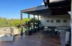 Penthouse parc Herastrau sos Nordului + 400 mp curte cu piscina - 21