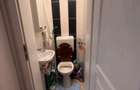 Apartament 4 camere Gradina Icoanei - 9