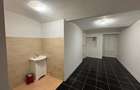 Spațiu de 44,29 mp utili, demisol înalt, Elisabetin, zona Bălcescu–Maria - 3