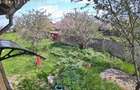 Proprietar,casa renovata ,teren 2000 mp deschidere 113 m,Farcasele Olt - 10