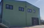 Hala Buftea DN 1A   1278 mp pe Teren 5000 mp Chilipir - 2