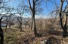 Teren intravilan de vanzare, 17700 mp Zalau - 2