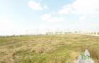 Teren 27000mp langa Padurea Baneasa Bucuresti - 5