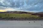 Teren Extravilan I 6000 Mp I Acces la drum | Cojocna - 6