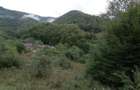 Proprietar-Vând două terenuri, unul de 7.100 mp, celălalt de 25.000 m2 - 9
