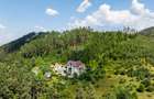 Comision 0%! Studio intr-o zona superba, Inconjurat de pădure | Bunloc