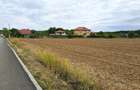The Forest Collection -LOT 500mp- Strada asfaltata | Padurea Snagov -Ciofliceni - 5
