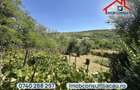 Refugiu de Poveste la Marginea Pădurii | Casă cu Teren Generos în Dienet!CE1754 - 9
