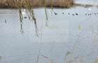 Parcelă Intravilană cu Vedere Superbă la Lac, Investiție de Top în Corbeanca - 1