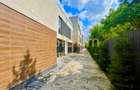 SUPERB/ IANCU NICOLAE - 50