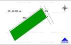 Teren 12.000 mp, deschidere 42 m, DN1 – Saftica – Lahovari - 6