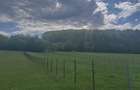 Teren intravilan, 2500mp, Voievodeasa, Marginea - 4