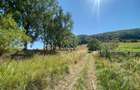 Teren intravilan 2600 mp - pretabil casa/investitie-Zona Aerodrom - 5