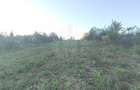 TEREN INTRAVILAN  PLOPU//3000 MP - 9