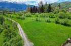 Teren 500mp-1000-2000mp, intravilan, intre Bran si Zarnesti (Tohanita) - 11