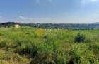 🏡 Teren intravilan Valea Adanca – Zona 5 Drumuri 🌿 - 5