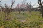 Teren Vladimirescu-  Zona Excelenta  2954 MP INTRAVILAN!!! - 8