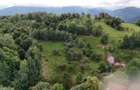 Comision 0% |Teren intravilan 2.700 mp | Sohodol – Bran |Castelul Bran