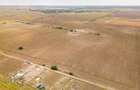 DASCALU – TEREN INTRAVILAN 11300 MP, INVESTITIE! - 4