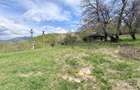 Teren 1100 mp, intravilan, Moieciu de Jos/Drumul Carului