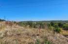 Teren intravilan 14.168 mp – pozitie excelenta la intrarea in Braila - 8