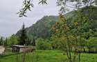 Teren intravilan - Rucar - Satic - 1775 mp - la strada principala - deschidere - 9