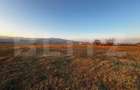TEREN INTRAVILAN 780mp, zona Partoș - strada Viilor - 2