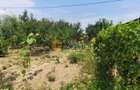 🏡CASĂ SUPERBĂ LA 15 KM DE IAȘI – VOINEȘTI | 145.000 € - 20