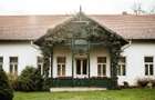 Conacul Zichy, Domeniu de 7,8 Ha -de vanzare - 11