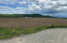 Teren extravilan 3.240 mp la strada * intre Selimbar si Bungard - 2