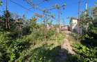 PROPRIETATE 250MP TEREN + CASA 101MP I KM 5 I OPORTUNITATE INVESTITIE - 13