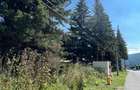 Teren Intravilan Predeal - Acces direct DN - Priveliste deosebita - 15